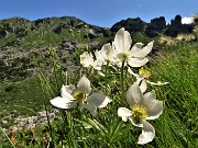 CORNA GRANDE (2089 m) ai Piani di Bobbio da Ceresola di Valtorta il 10 luglio 2021- FOTOGALLERY
